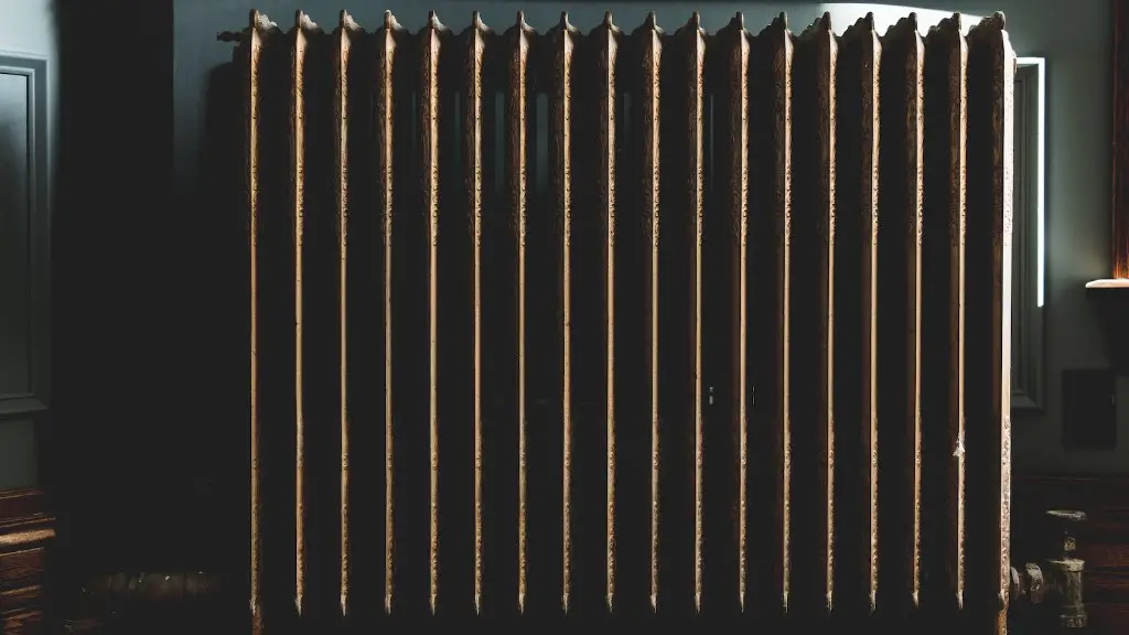 How to clean radiator from bugs?